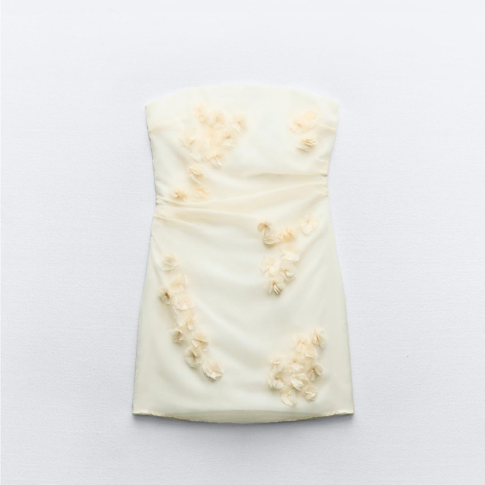 Zara Organza Floral Dress